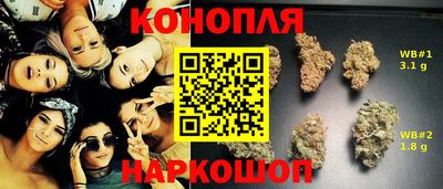 молекула духа Северобайкальск