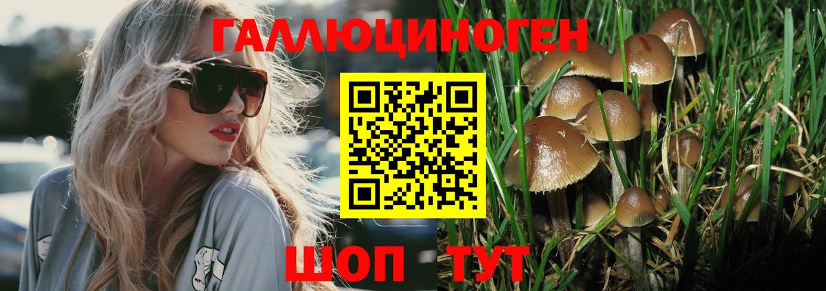 Галлюциногенные грибы Cubensis Нижнеудинск