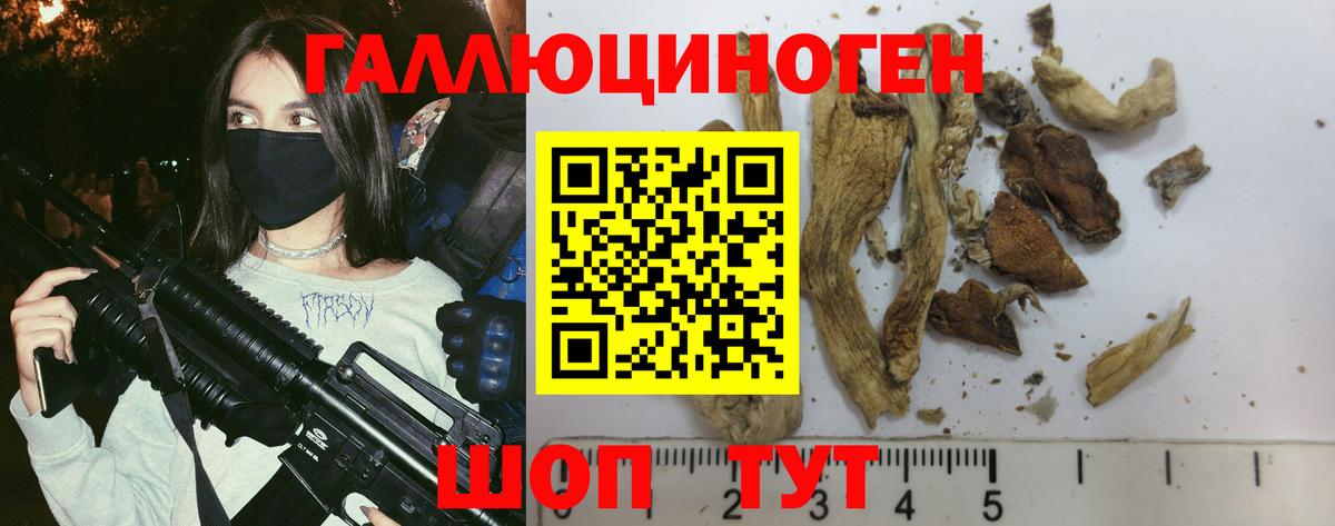 Нижнеудинск  Псилоцибиновые грибы Magic Shrooms  Вход с VPN  Псилоцибиновые грибы GOLDEN TEACHER 